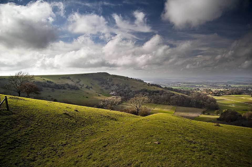 Sullington Hill (Dyke) by A R Cane