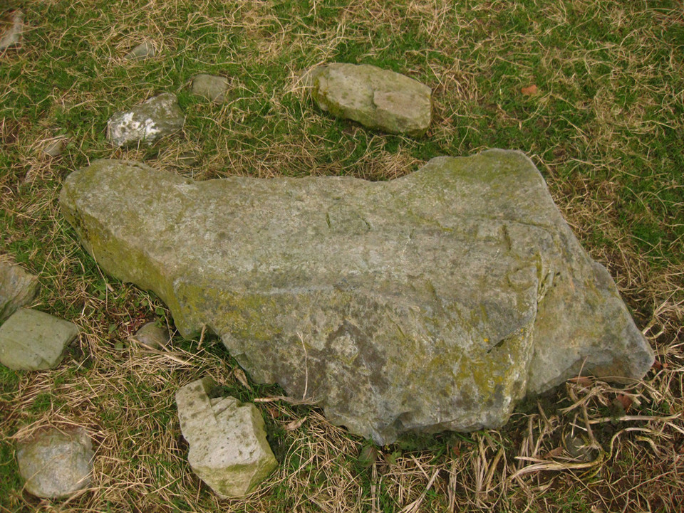 Whiteleas (Stone Circle) by ryaner