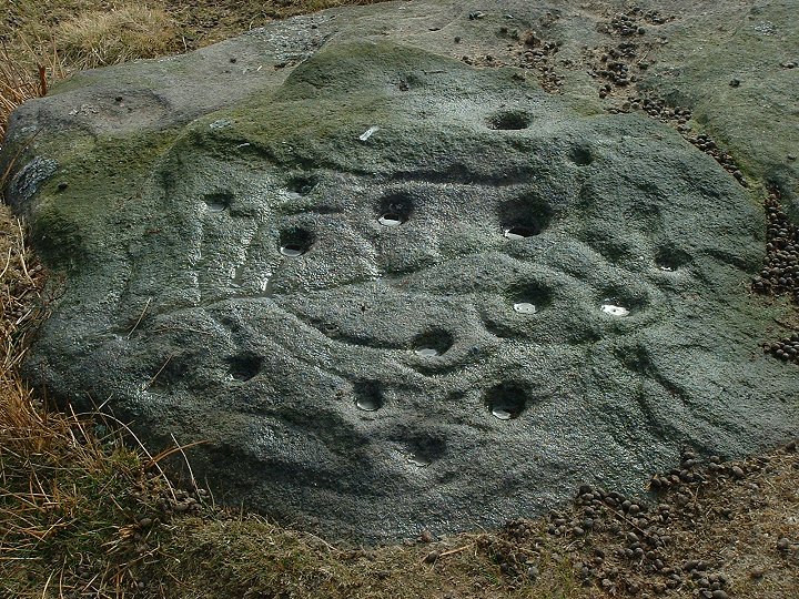 The Tree Of Life Rock (Cup and Ring Marks / Rock Art) by Chris Collyer