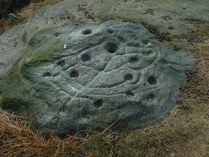 The Tree Of Life Rock (Cup and Ring Marks / Rock Art) by Chris Collyer