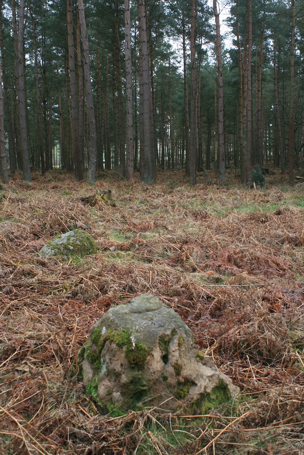 Broomrigg (Stone Circle) by postman