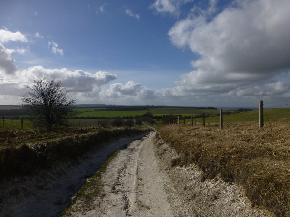 The Ridgeway (Ancient Trackway) by thesweetcheat