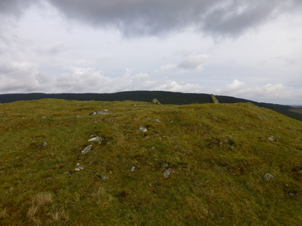 Bryn Poeth Uchaf South (Ring Cairn) by thesweetcheat