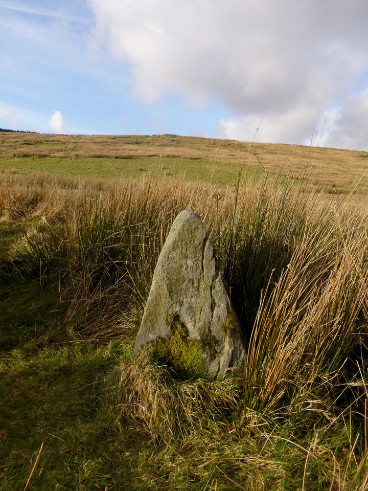 Cerrig Cynant (Stone Circle) by thesweetcheat