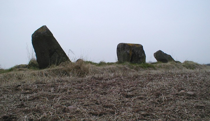 Glenhead Stone Row (Stone Row / Alignment) by pebblesfromheaven