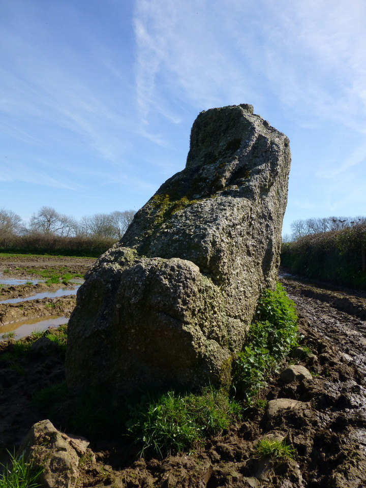 Knelston (Standing Stone / Menhir) by thesweetcheat