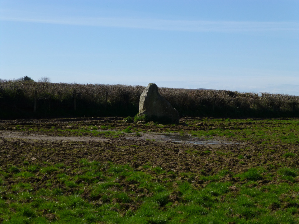 Knelston (Standing Stone / Menhir) by thesweetcheat