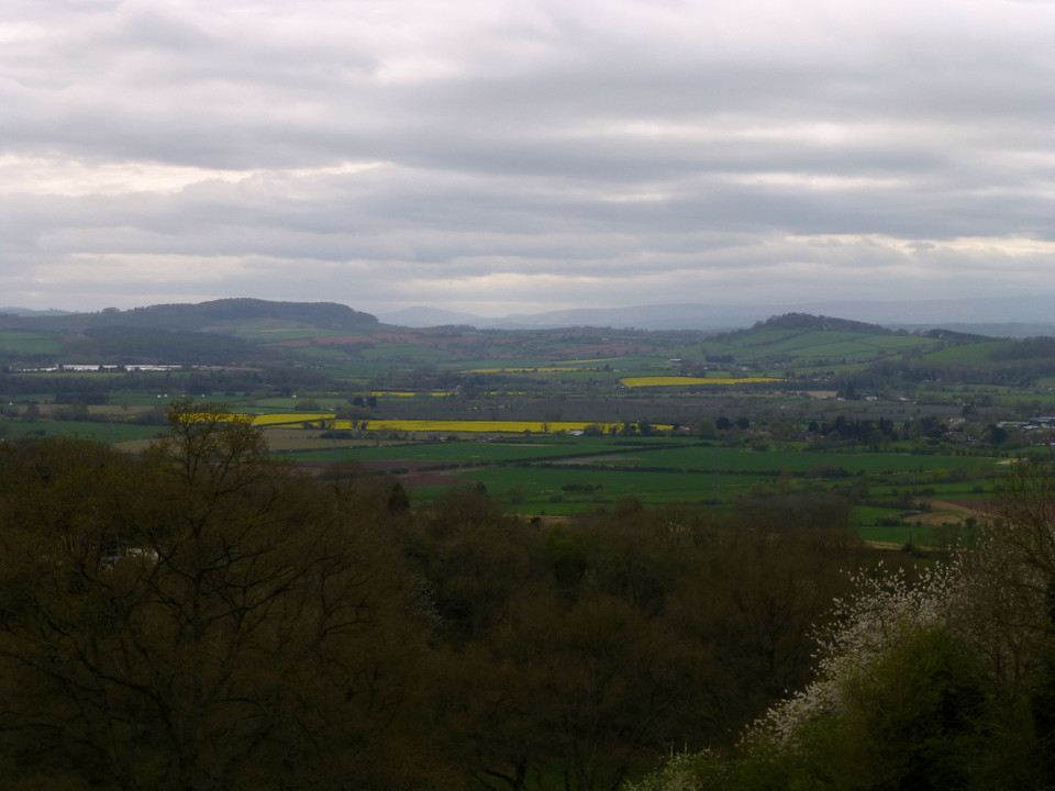Aconbury (Hillfort) by thesweetcheat