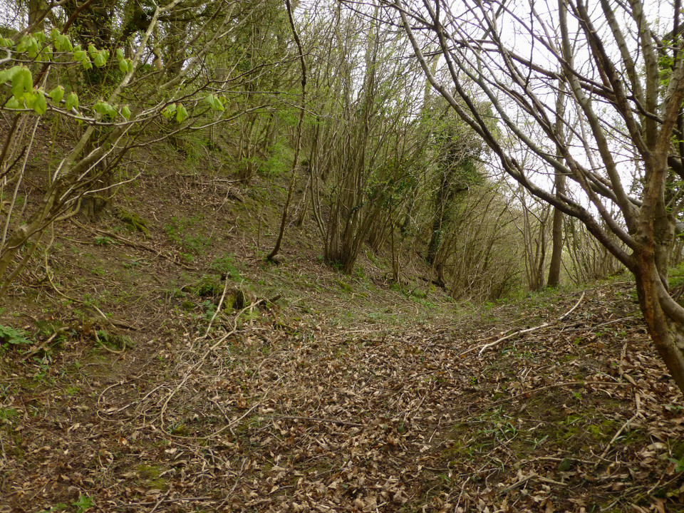 Backbury (Hillfort) by thesweetcheat
