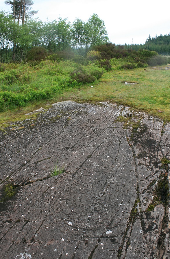 Achnabreck (Cup and Ring Marks / Rock Art) by postman
