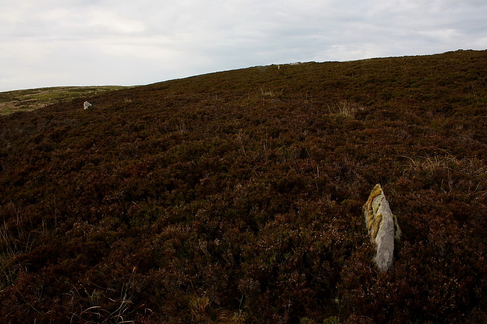 Garrywhin Stone Rows (Stone Row / Alignment) by GLADMAN
