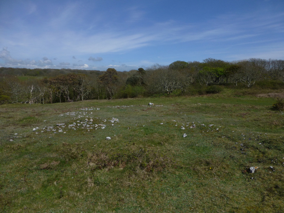 Stackpole Warren (Ancient Village / Settlement / Misc. Earthwork) by thesweetcheat