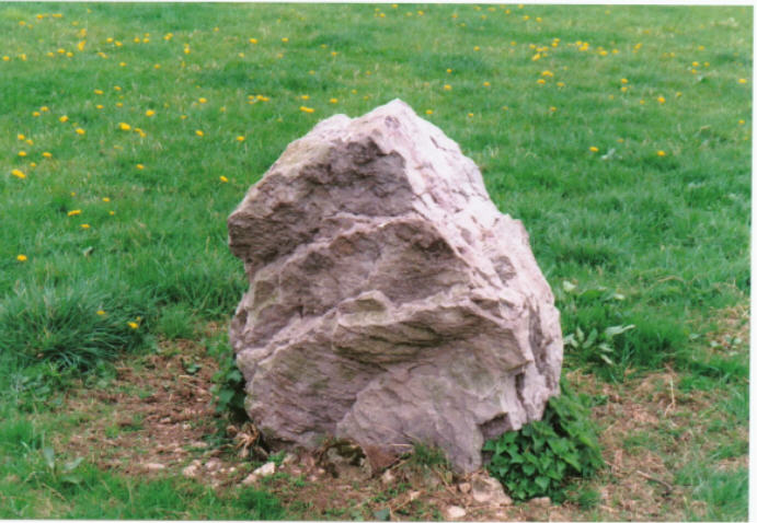 Deerleap Stones (Standing Stones) by hamish
