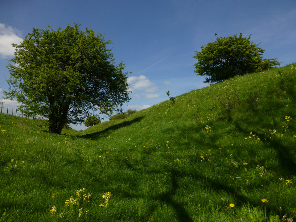 Segsbury Camp (Hillfort) by thesweetcheat