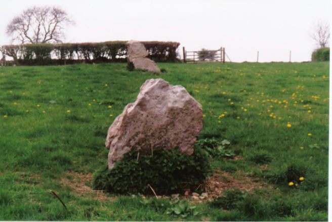 Deerleap Stones (Standing Stones) by hamish