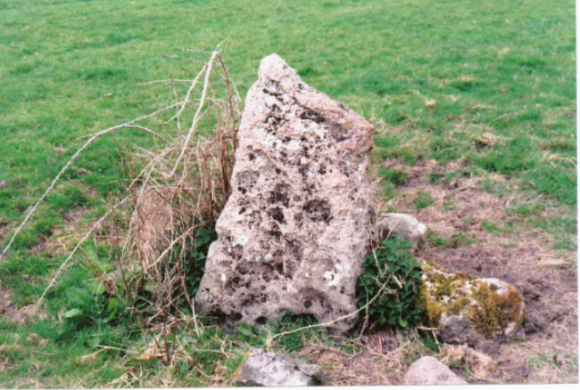 The Devil's Stone (Standing Stones) by hamish