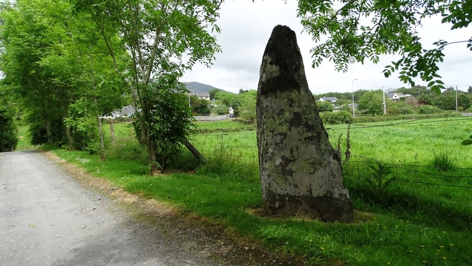 Skull Stone (Standing Stone / Menhir) by Nucleus
