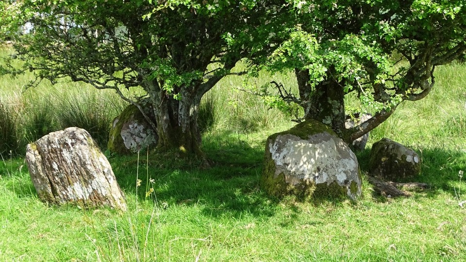 Dromatouk (Stone Circle) by Nucleus