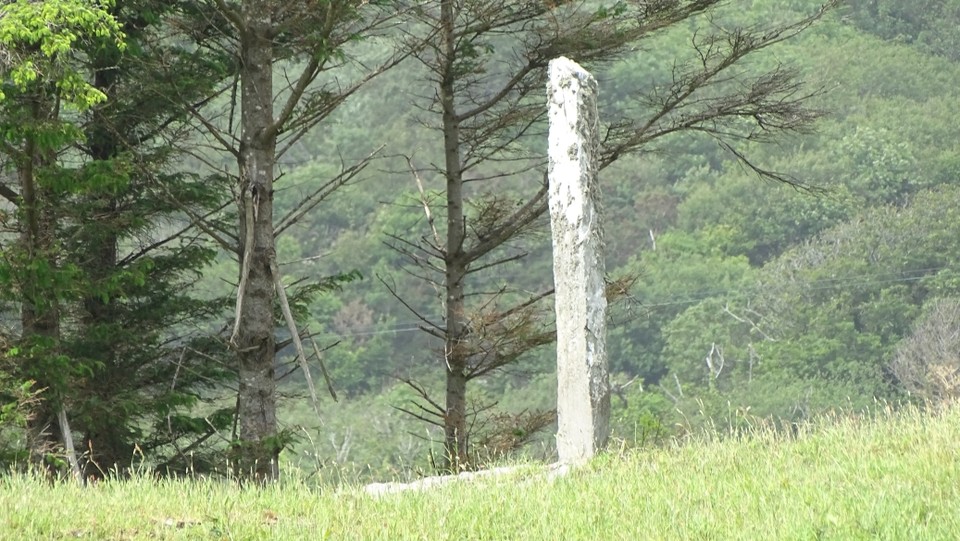 Derreenataggart Middle (Standing Stone / Menhir) by Nucleus