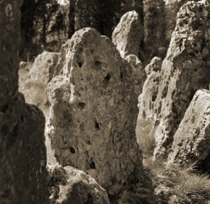 The Rollright Stones (Stone Circle) by morfe