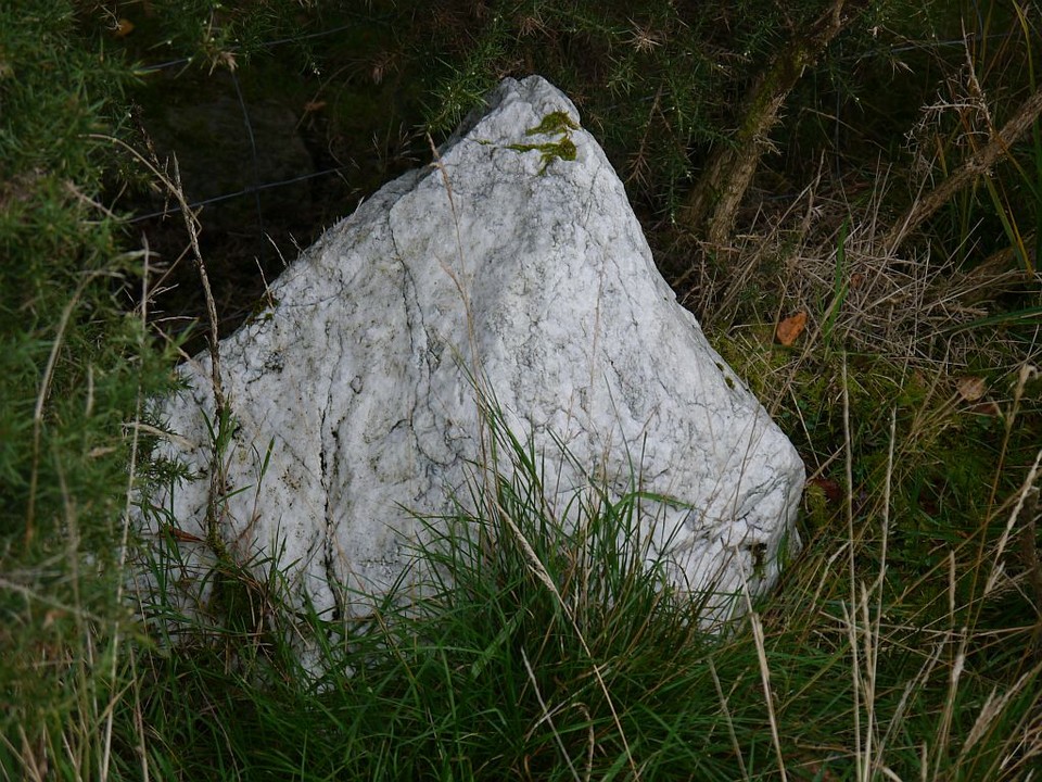 Derrynafinchin (Stone Circle) by Meic