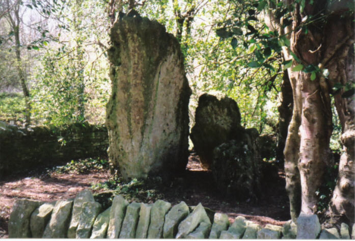 The Hoar Stone (Chambered Tomb) by hamish