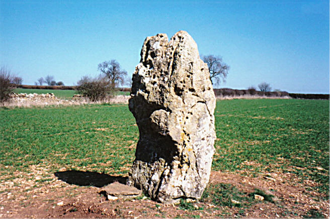 Hawk Stone (Standing Stone / Menhir) by hamish