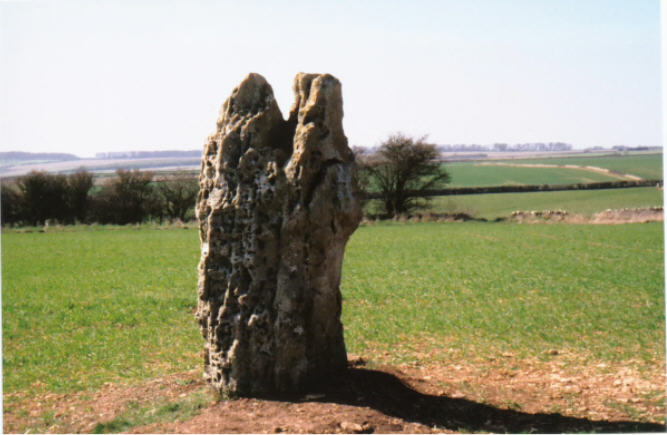 Hawk Stone (Standing Stone / Menhir) by hamish