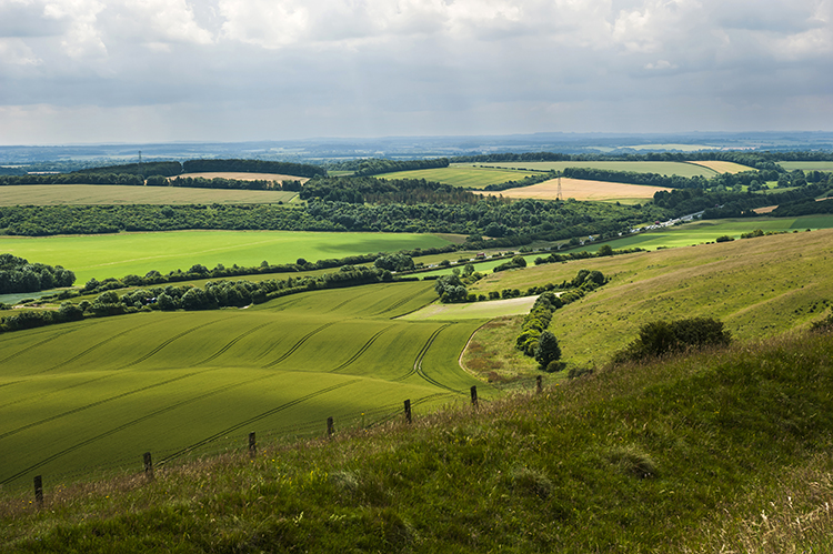 Beacon Hill (Hillfort) by A R Cane