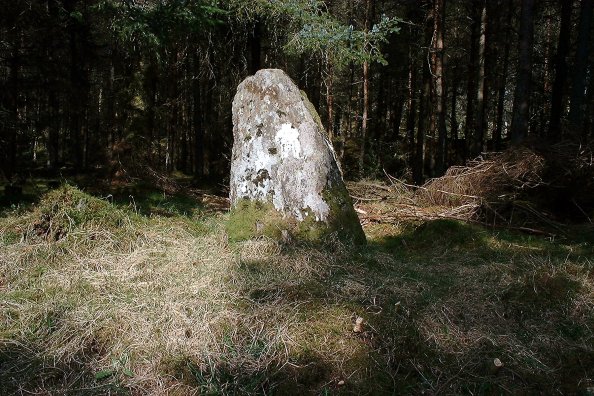 Wester Enochdhu (Standing Stone / Menhir) by nickbrand