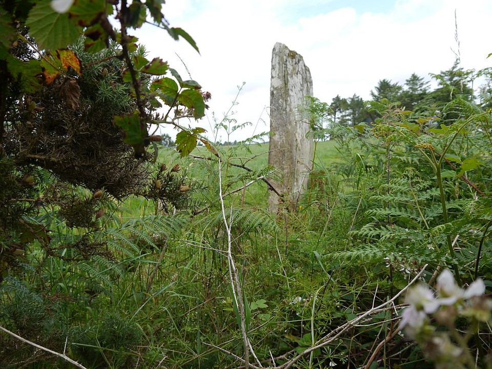 Milleennagun (Standing Stone / Menhir) by Meic