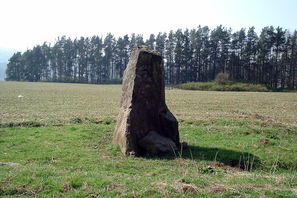 Balnabroich Stone (Standing Stone / Menhir) by nickbrand