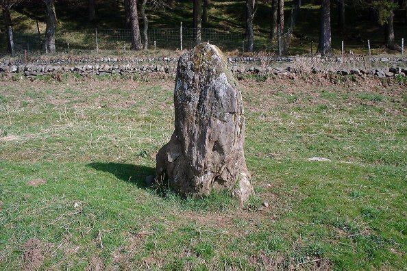 Balnabroich Stone (Standing Stone / Menhir) by nickbrand