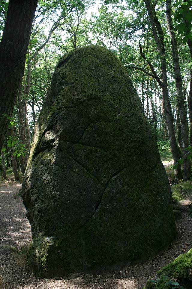 Guihallon Menhir (Standing Stone / Menhir) by postman