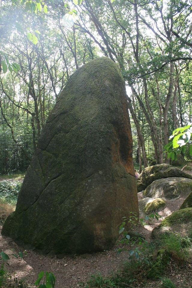 Guihallon Menhir (Standing Stone / Menhir) by postman