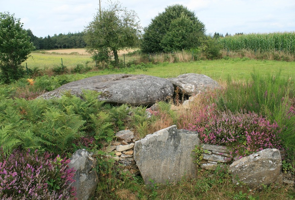 Larcuste cairns (Chambered Cairn) by postman