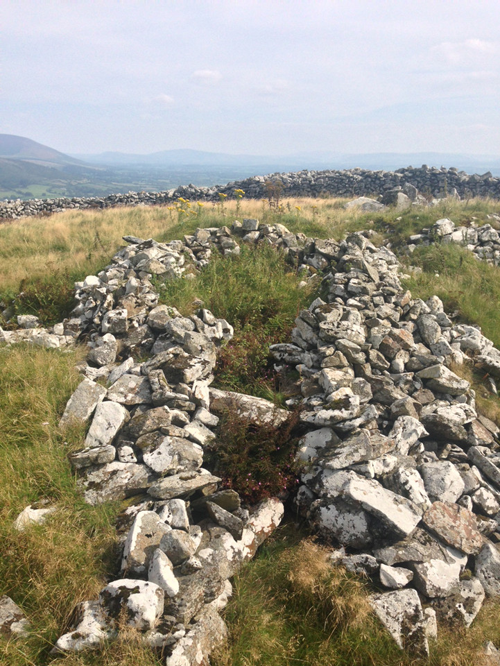Baltinglass Hill - Tombs (Passage Grave) by ryaner