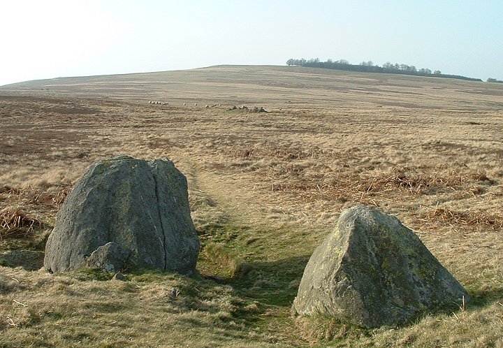 The Cop Stone (Standing Stone / Menhir) by Chris Collyer