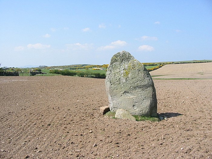Bod Deiniol (Standing Stone / Menhir) by stubob