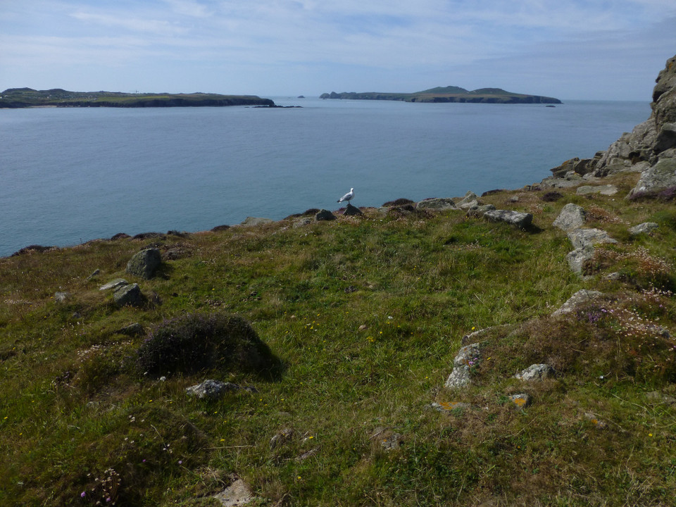 St David's Head Camp (Cliff Fort) by thesweetcheat