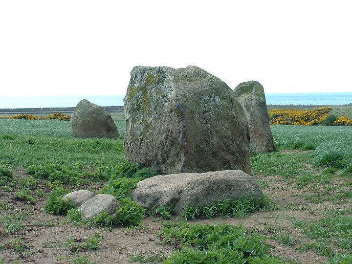 Greycroft Stone Circle (Stone Circle) by Chris Collyer