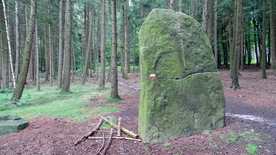 Süntelstein (Standing Stone / Menhir) by Nucleus