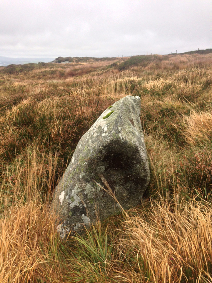 Broughills Hill (Standing Stones) by ryaner