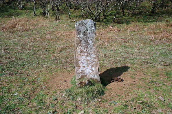 Kilninian (Standing Stone / Menhir) by nickbrand