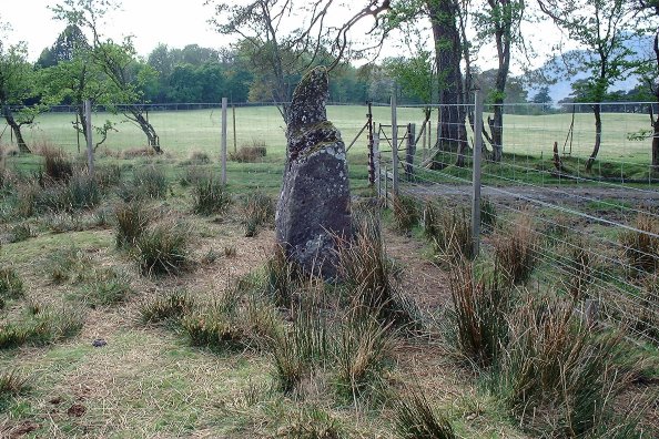 Lochbuie Outlier 2 (Standing Stone / Menhir) by nickbrand