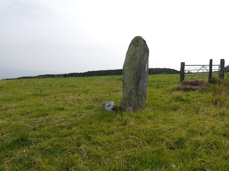 Carreg (Llanfair) (Standing Stone / Menhir) by Meic