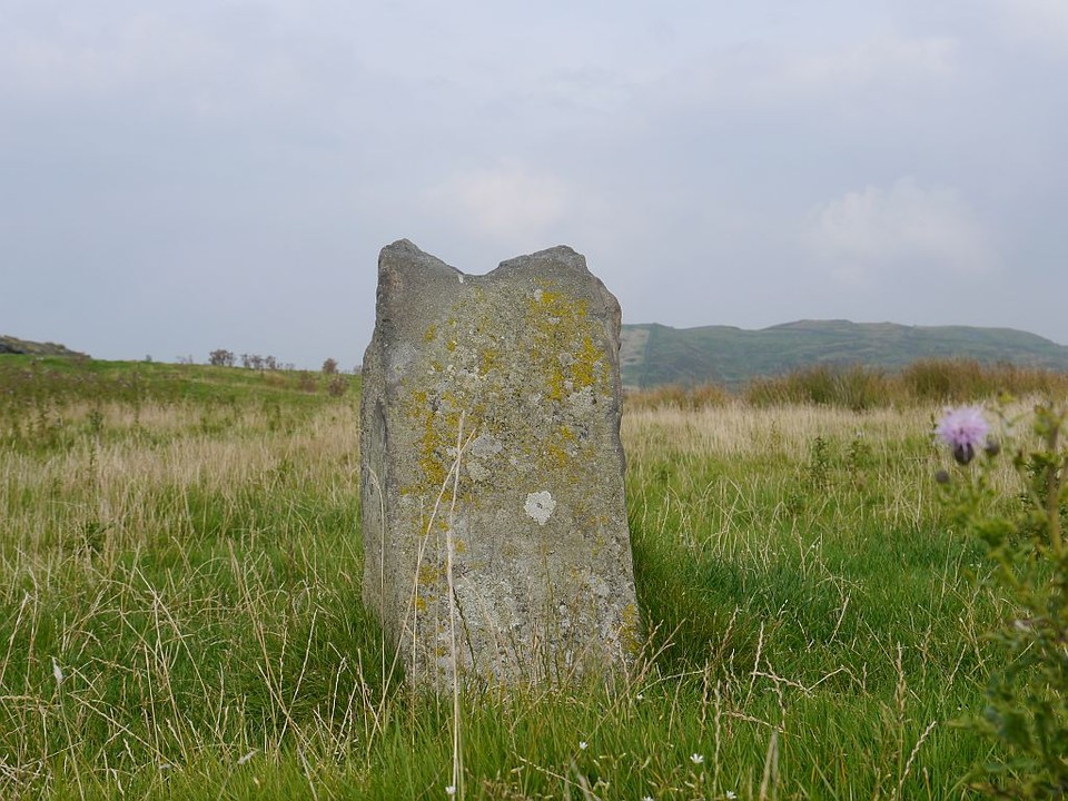 Fonlief Hir Stone E (Standing Stone / Menhir) by Meic