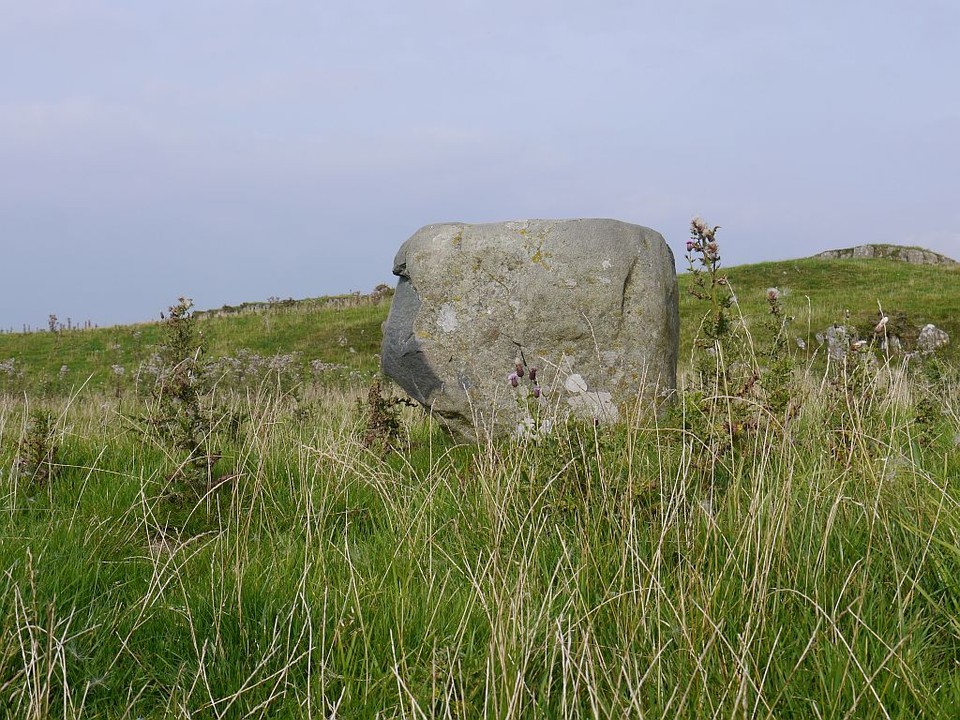 Fonlief Hir Stone D (Standing Stone / Menhir) by Meic