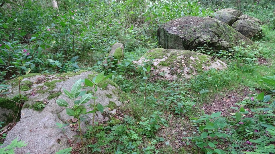 Thölstedt (Passage Grave) by Nucleus