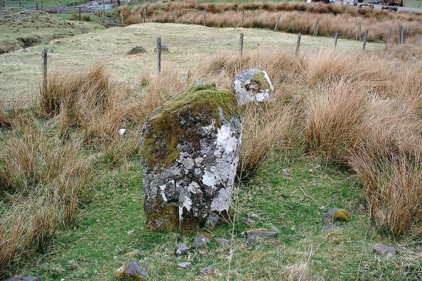 Glenmachrie (Stone Row / Alignment) by nickbrand
